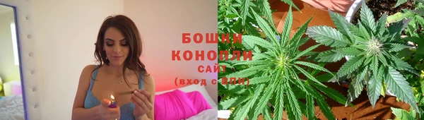 Альфа ПВП Краснослободск
