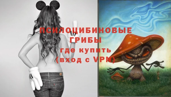 экстази Дмитриев