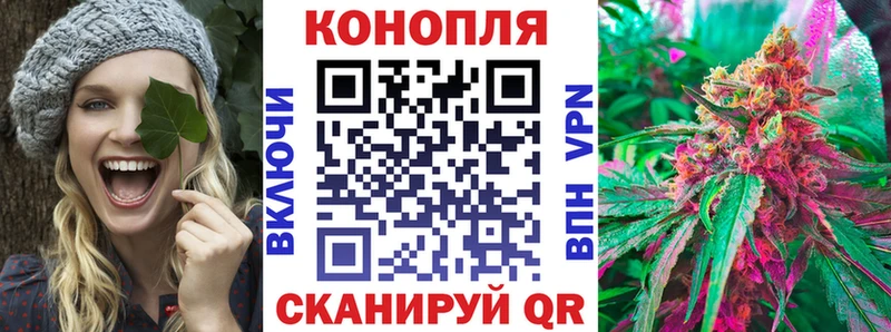 где купить наркоту  Красновишерск  Шишки марихуана сатива 